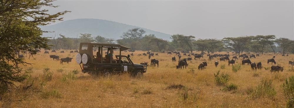 Nasikia Mobile Migration Camp (Kogatende)